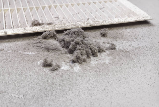 Best Ventilation Cleaning Services  in La Porte City, IA