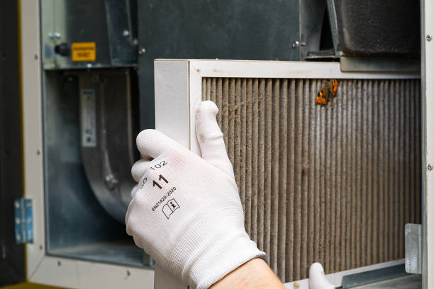 Air Duct Mold Removal in La Porte City, IA